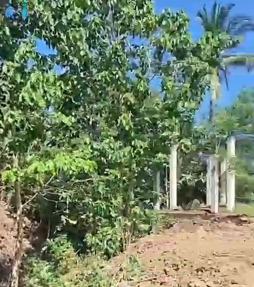 Freehold Land in Mong, Kuta — 32 Are — photo 3