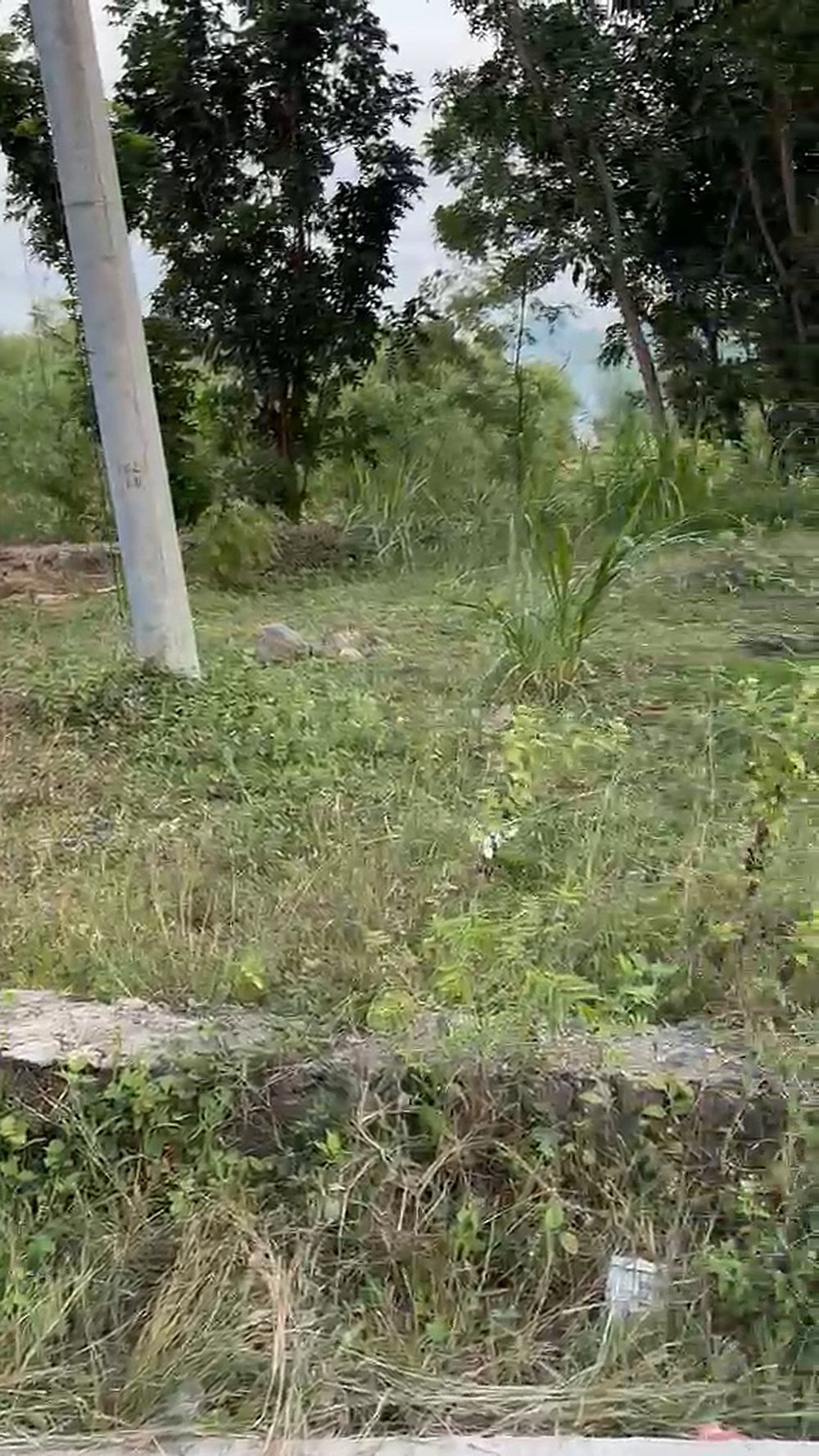 Freehold Land on a Concrete Road in Ngolang — 4.45 Are (SHM)