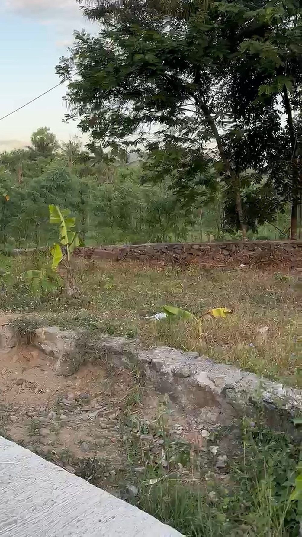 Freehold Land on a Concrete Road in Ngolang — 4.45 Are (SHM) — photo 3