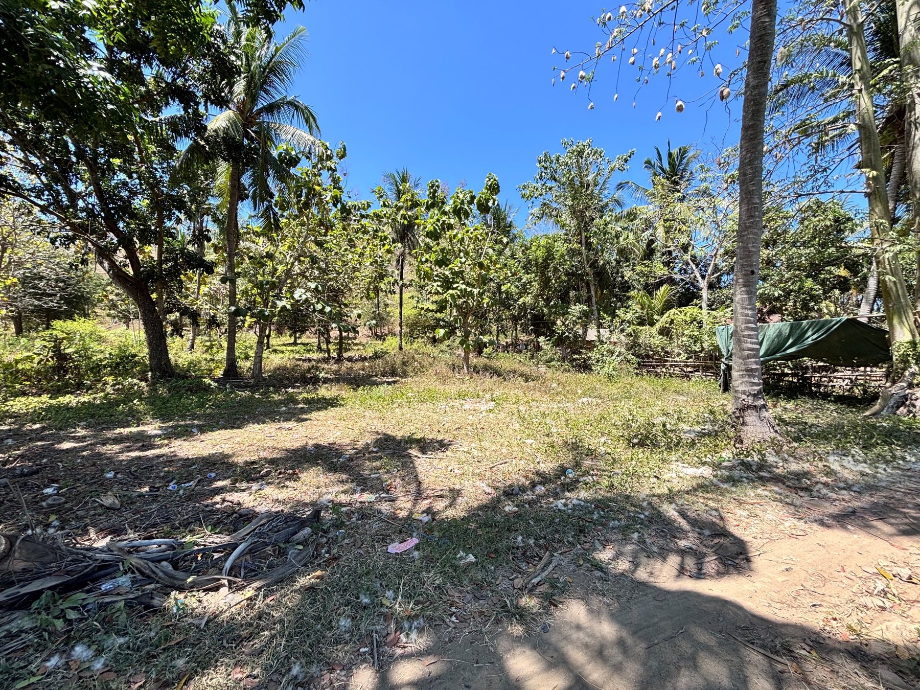 Freehold Land in Tampah — 60 Are