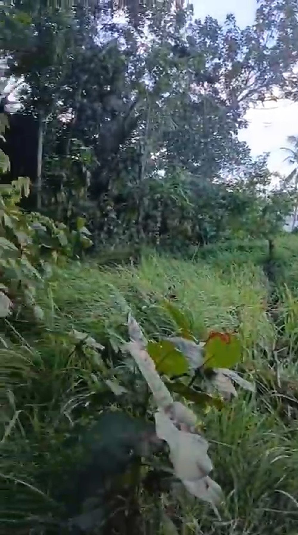 Leasehold Land in Merendeng, Kuta — 20 Are — photo 2