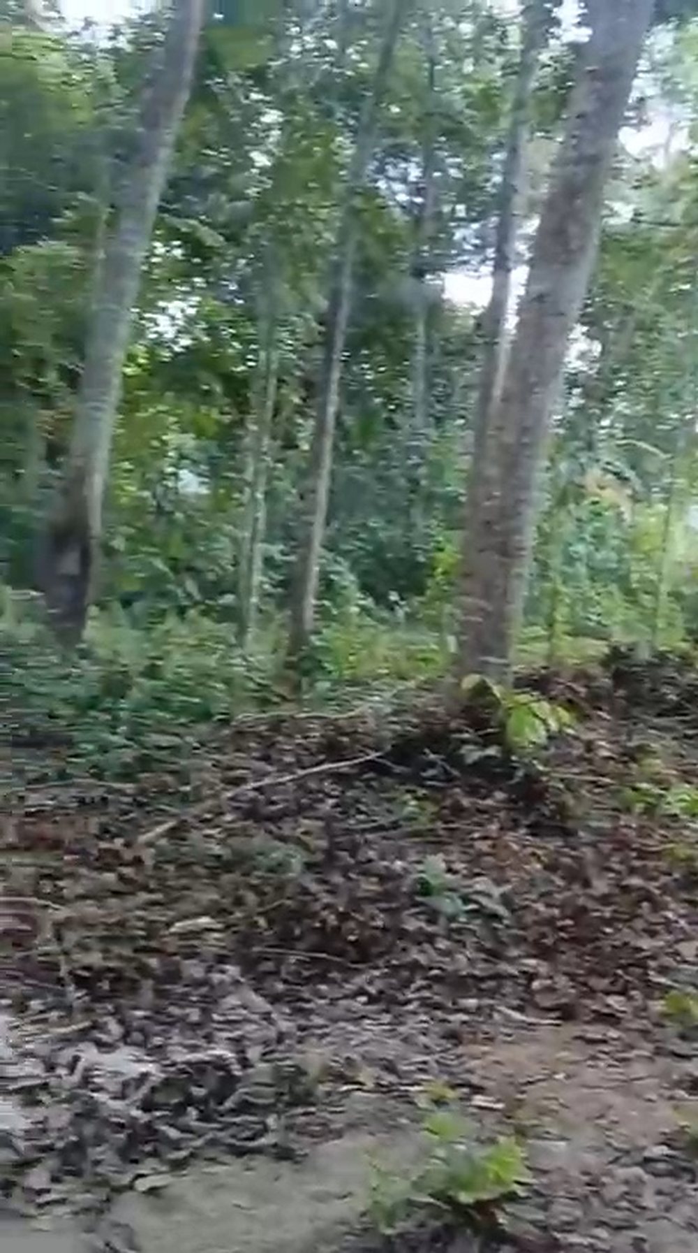 Leasehold Land in Merendeng, Kuta — 20 Are — photo 3