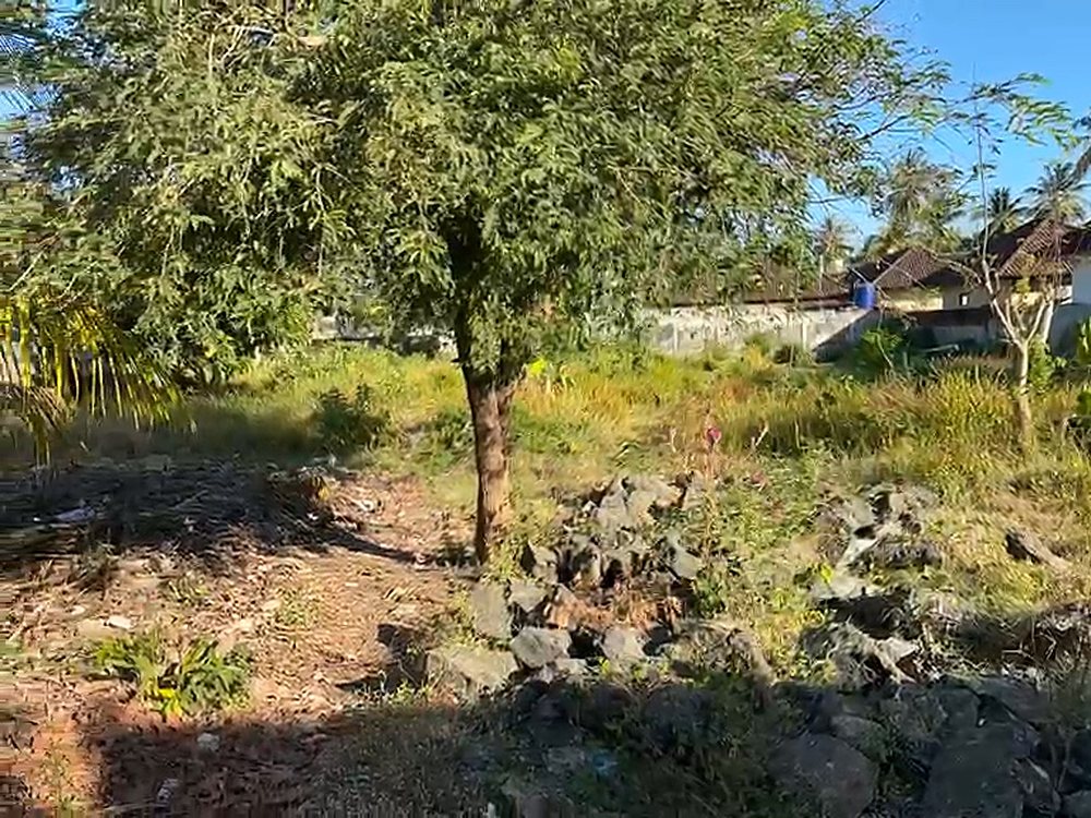 Leasehold Land in Central Kuta (Mengalung) — 3 Are — photo 3