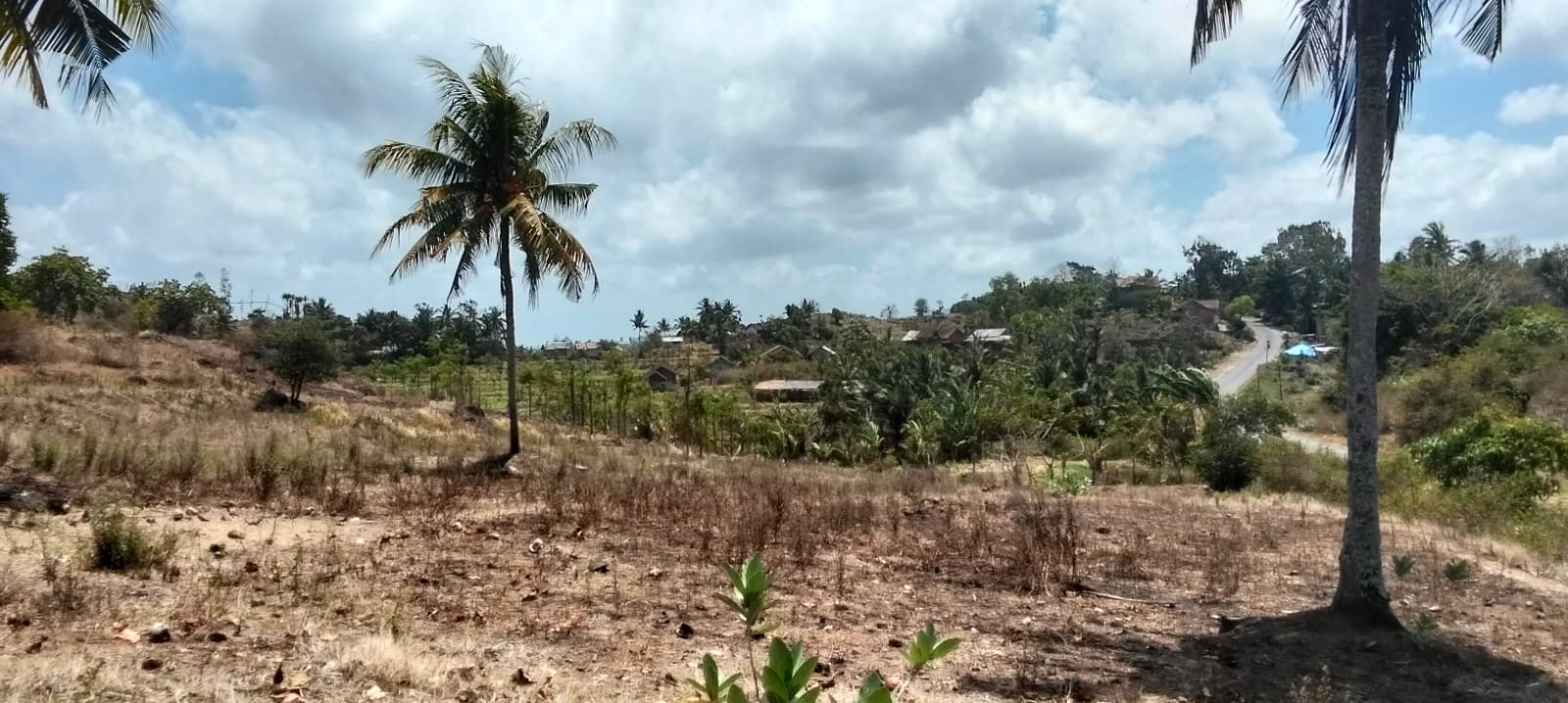 Ocean-View Freehold Land in Torok — 44 Are — photo 2